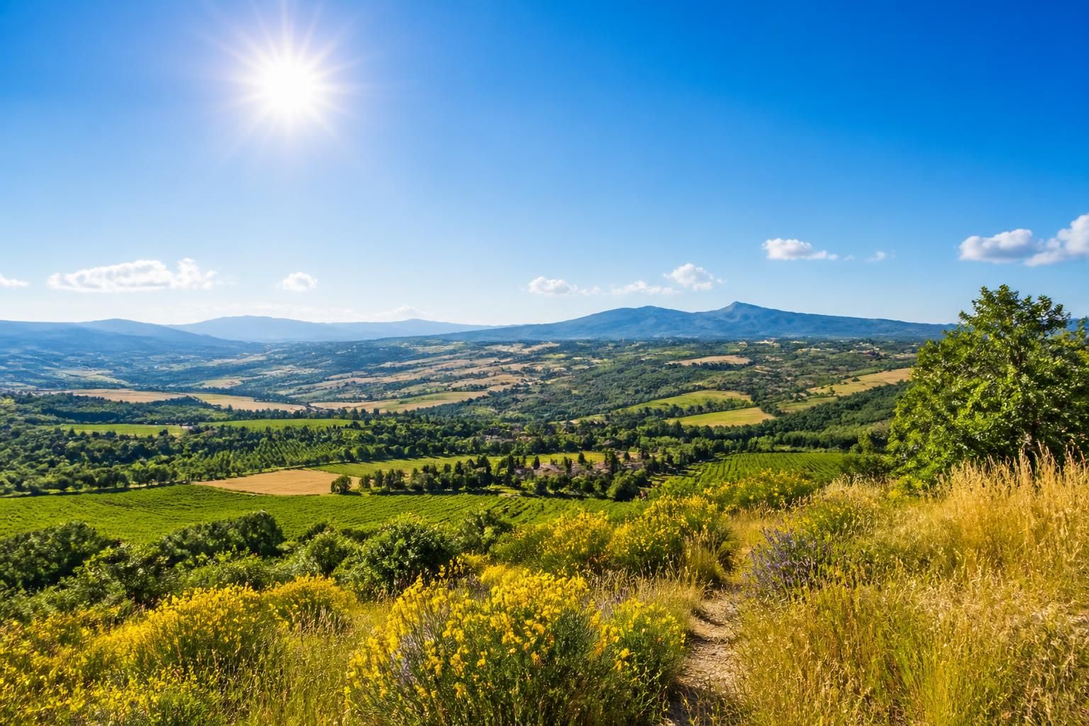 découvrez les prévisions météo pour la région occitanie en 2026 avec meteofrance, analyses détaillées des tendances climatiques à venir.